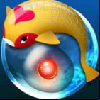 Zen Koi