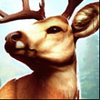 Deer Hunter 2016
